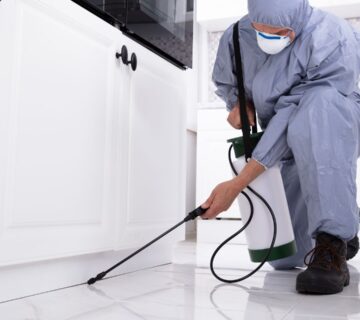 مكافحة حشرات بمكة